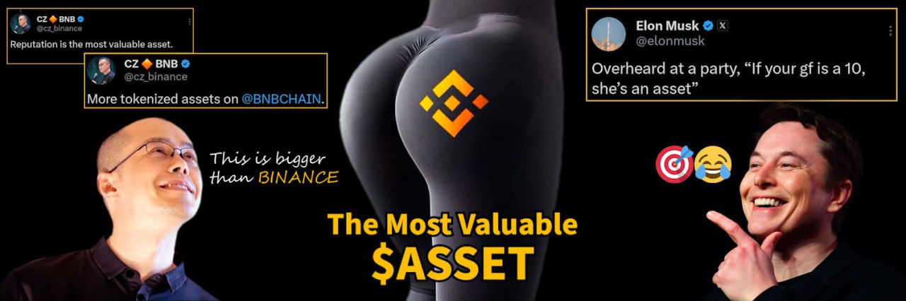 The Most Valuable $ASSET Banner